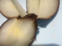 -福禄财东北菜(珠江帝景店)