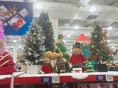 -山姆会员商店(上海浦东店)