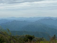 -王顺山国家森林公园