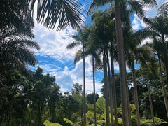 -中国科学院西双版纳热带植物园