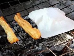 -内涵饵块