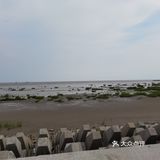 奉贤海湾