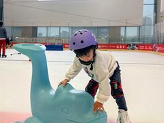 -冰纷万象滑冰场(二七万象城店)