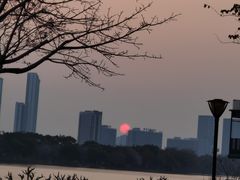 -顺峰山公园