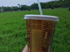-瑞穗牧场