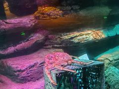 -沈阳海洋探索中心