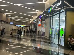 -谢列梅捷沃国际机场