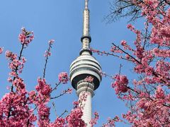 -龟山风景区-龟山电视塔