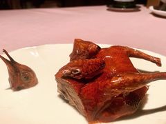 脆皮乳鸽-新荣记(南京西路店)