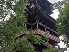 -杭州半山国家森林公园