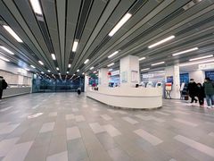 -上海市徐汇区口腔医院
