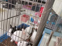 -三旗百汇商品城