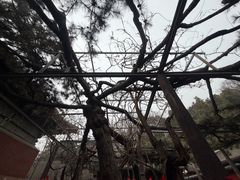 -红螺寺