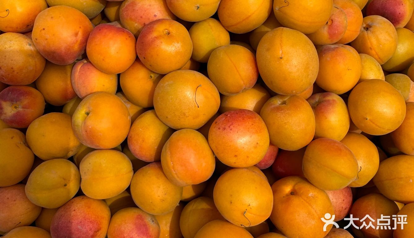 新疆的水果为什么这么好吃呢？