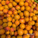 新疆的水果为什么这么好吃呢？