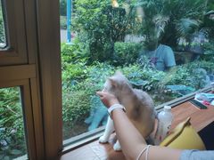 -咖法森林·咖啡  酒吧(天河店)