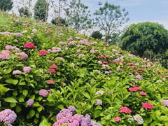 -成都中医药大学(温江校区)