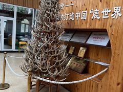 -北京鹿世界主题园