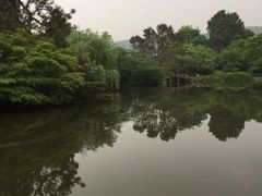 -西湖外事游船(花港观鱼码头)