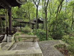 -上海佘山国家森林公园天马山园