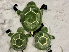 -绍兴启迪乔波冰雪世界