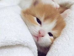 -煎饼道·新鲜现做(桐梓林店)