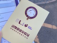 -宠爱国际动物医院·消化内科·心肾内科·ISFM猫友好(望京店)