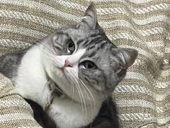 -山林熟食(兰溪路店)