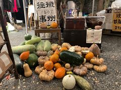 -苏州本色美术馆