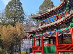-向外鱼乐·土菜·虹鳟鱼
