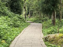 -西岭雪山大飞水景区