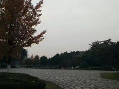-四川大学(江安校区)
