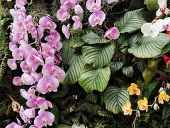 -北京植物园-展览温室