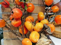 -鸽子窝(宋庄店)