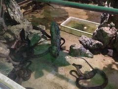 -荔城生鲜盛宴(番禺旗舰店)