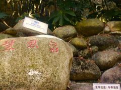 -三江森林温泉度假区