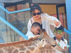 -西霞口神雕山野生动物世界