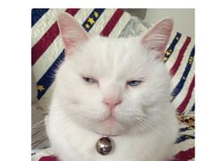 -东南饼庄(铁路二村店)