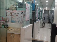 -芭比堂动物医院(广州爱宠下渡路分院)