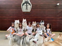 -TrueLove @ Neverland (Husky Cafe)