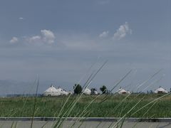 -敕勒川草原