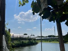 -马陆小张葡萄园农家乐