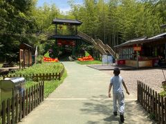 -陶祖圣境风景区