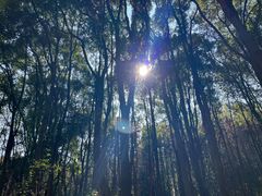 -青龙山国家森林公园