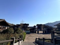 -大唐贡茶院