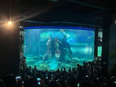 -龙谷湾旅游休闲度假区