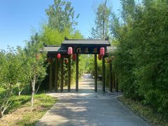 -合肥滨湖国家森林公园