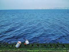 -悦海公园