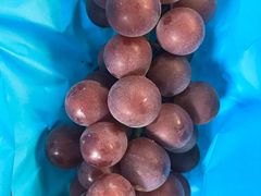 -马陆小张葡萄园农家乐