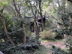 -上海佘山国家森林公园天马山园